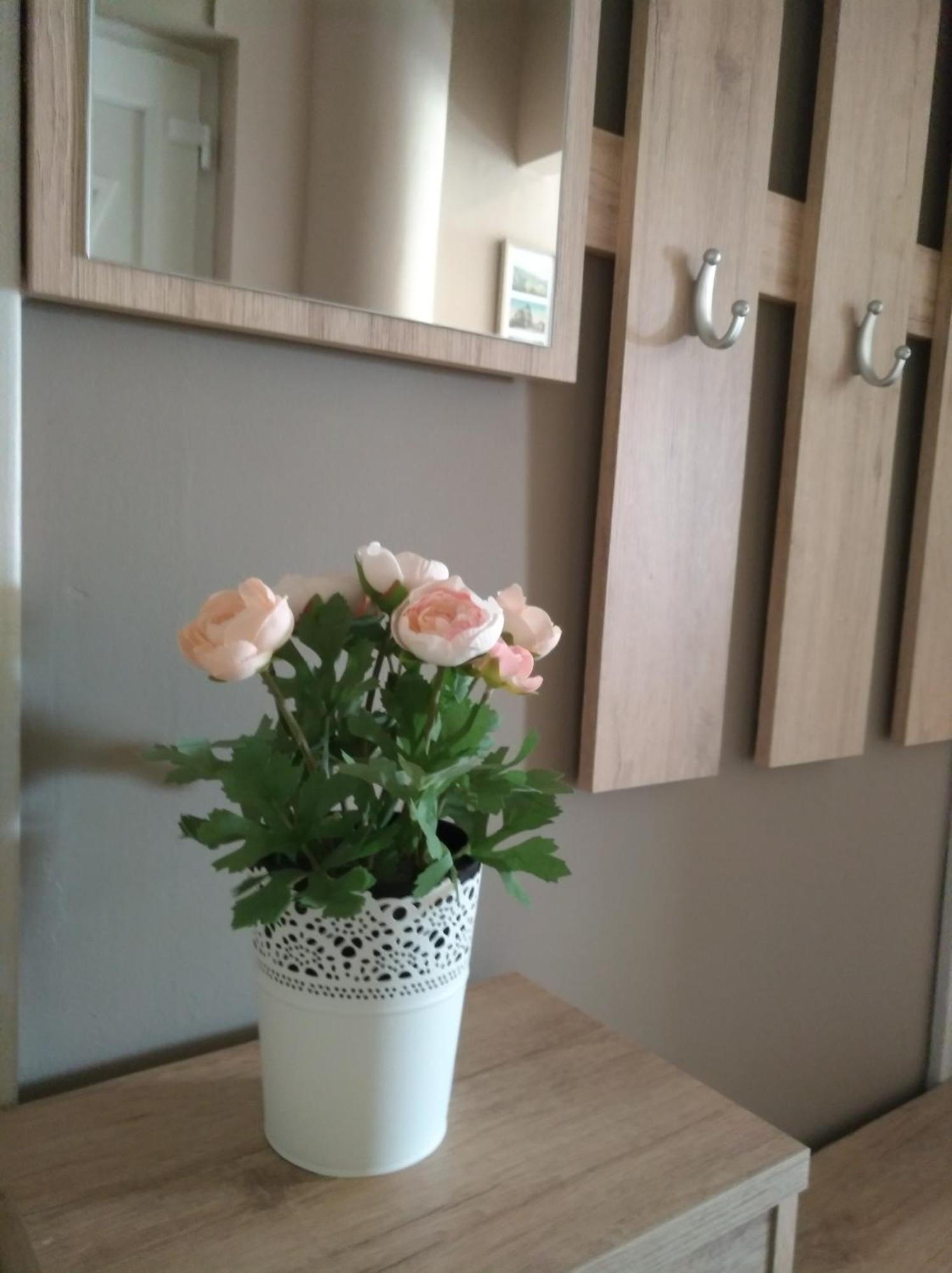 Aqua Apartmanok Pecs Bagian luar foto